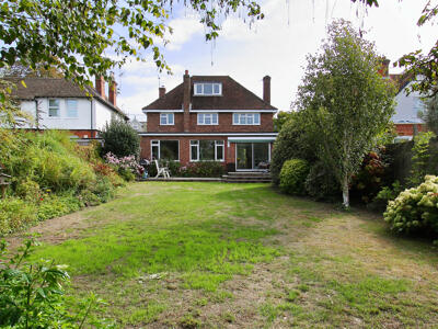 Picture 19